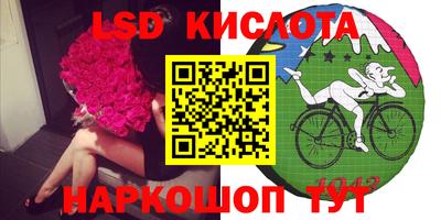 альфа пвп Новодвинск